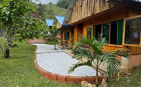 Cabañas orquídea